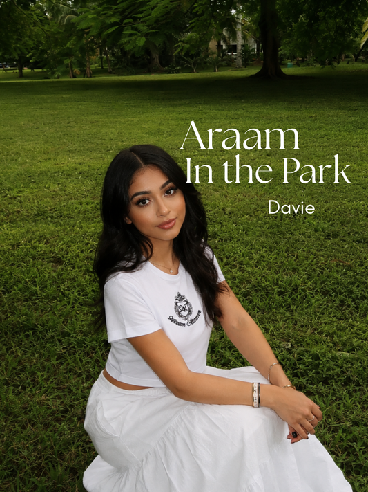 Araam in the Park — Vista View Park, Davie · Aug 23