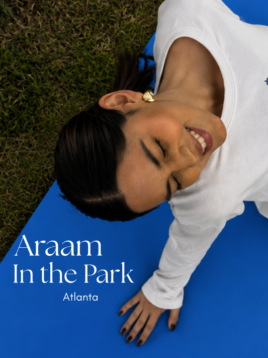 Araam in the Park — Pernoshal Park, Atlanta · Aug 23